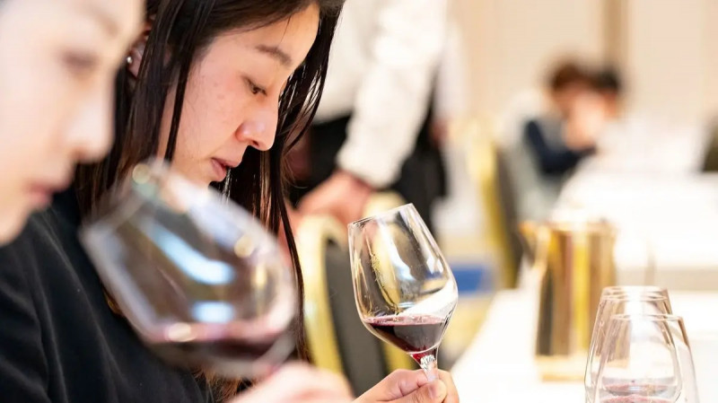 Japonky ocenily česká vína. Sakura posílá čtyři diamantové trofeje, jednu vinařce do Kutné Hory