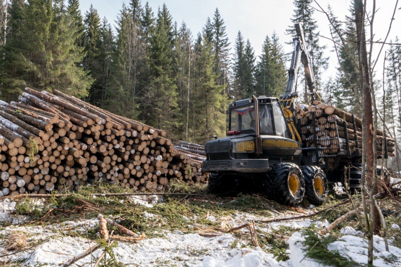 Lokální výroba pelet jako podpora českých lesů a r... | FORUM 24