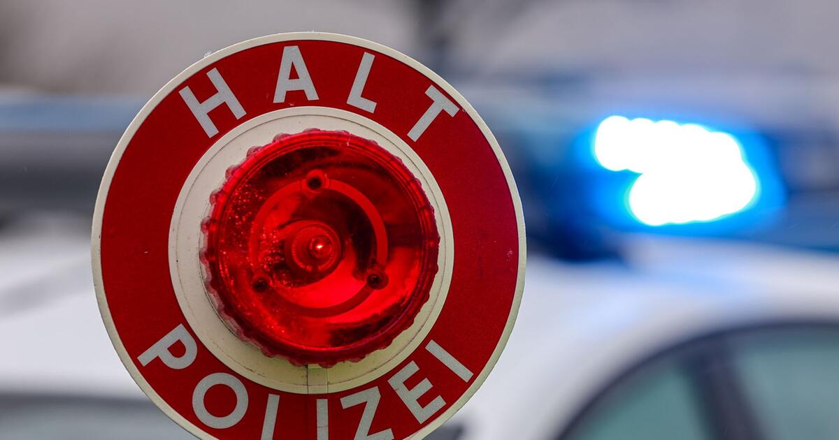 Welpen eingepfercht - Polizei greift an Grenze ein