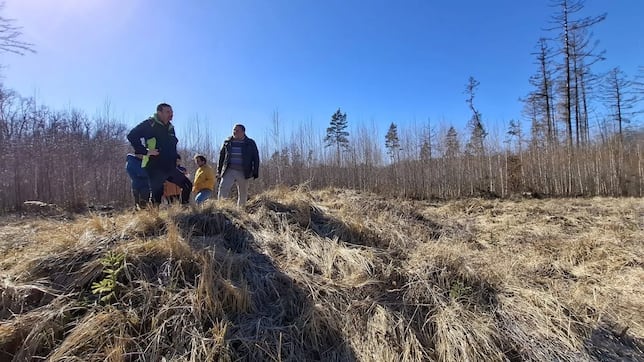 Arqueólogos investigan un montículo en una granja y descubren que esconde restos de hace 5.000 años