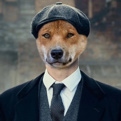 Dingo🇨🇿🇺🇦
