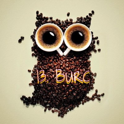 13. Burç