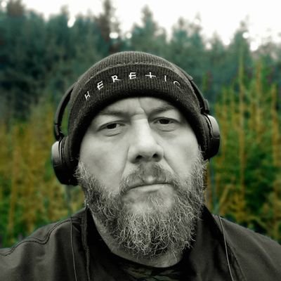 Vargstjern
