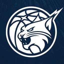 Minnesota Lynx