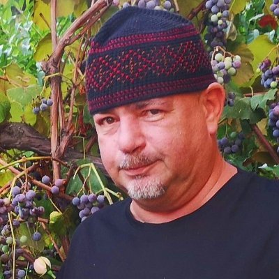 Ladislav Větvička